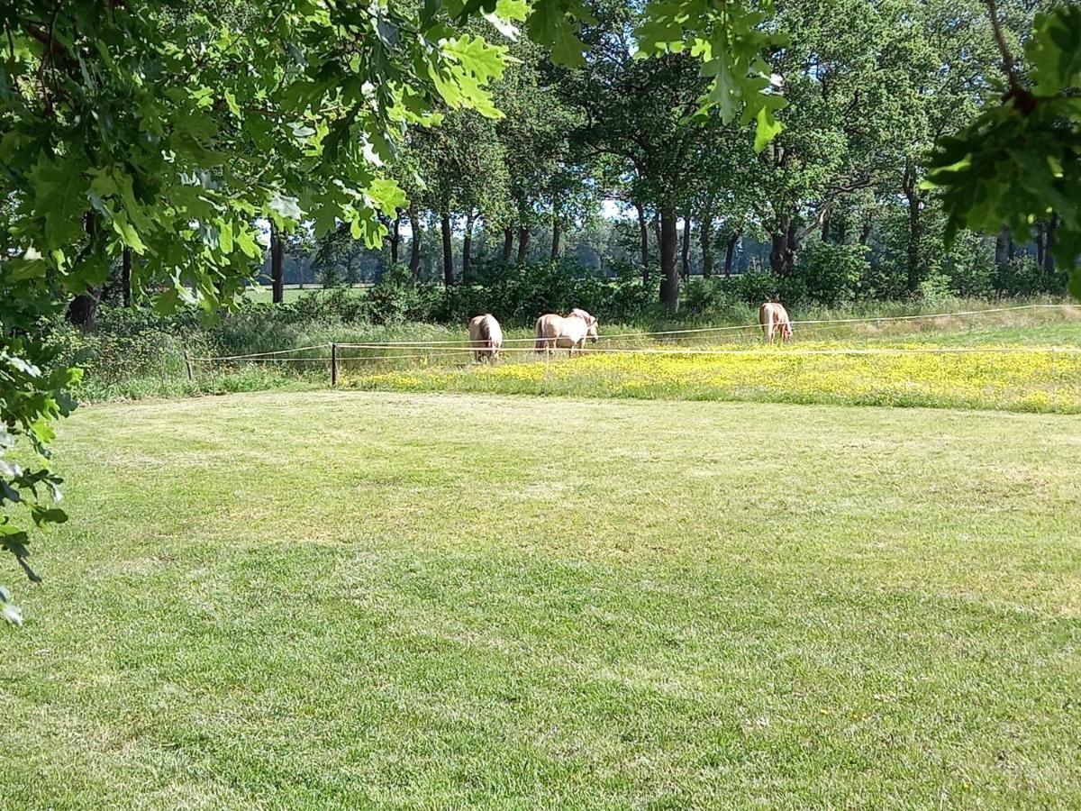 Thoefijzer Luxere Blokhutten 5 Pers En Mini Camping Zwiggelte Exterior foto